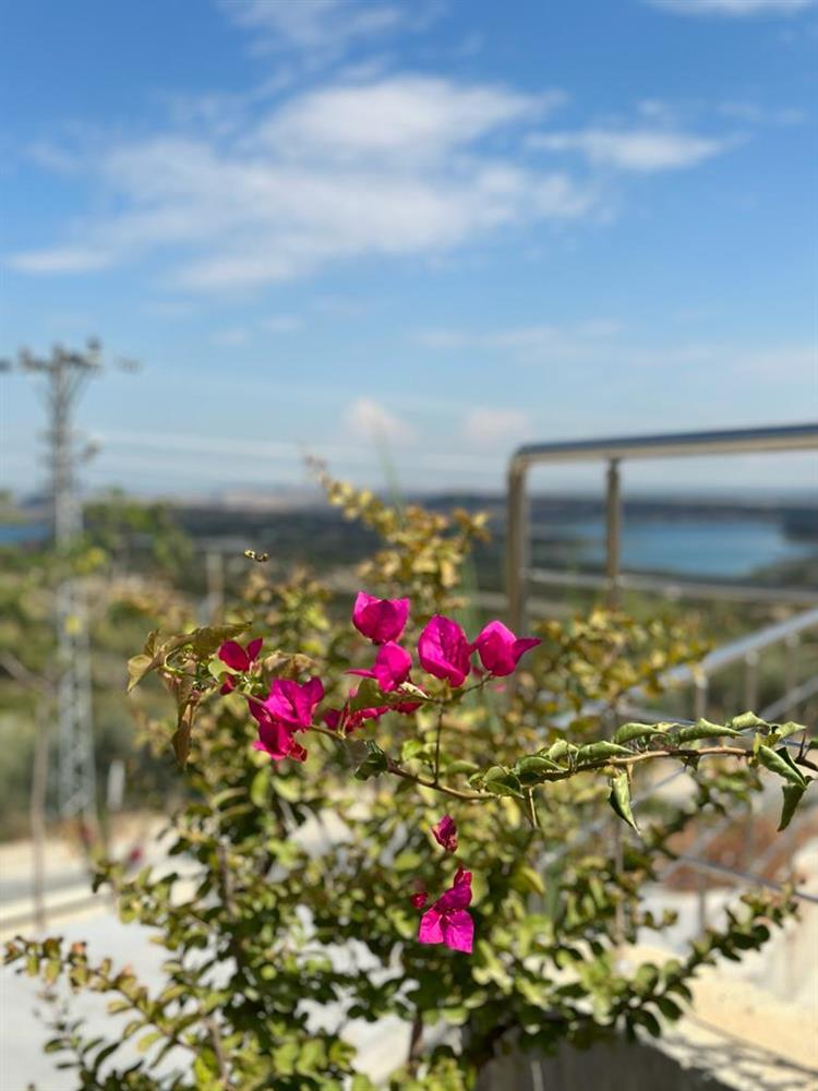 Campus Views